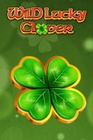 Wild Lucky Clover