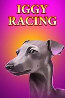 Iggy Racing